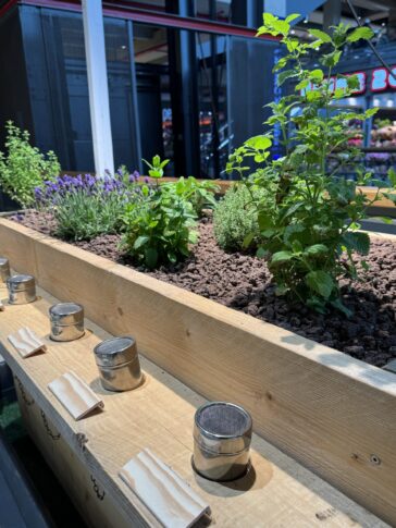 Green Days im Mercado: Nachhaltigkeit mit allen Sinnen erleben